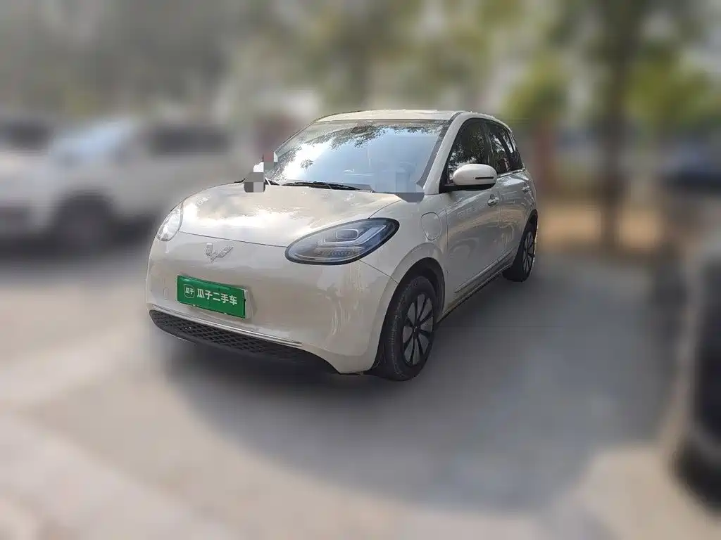 Wuling Binguo