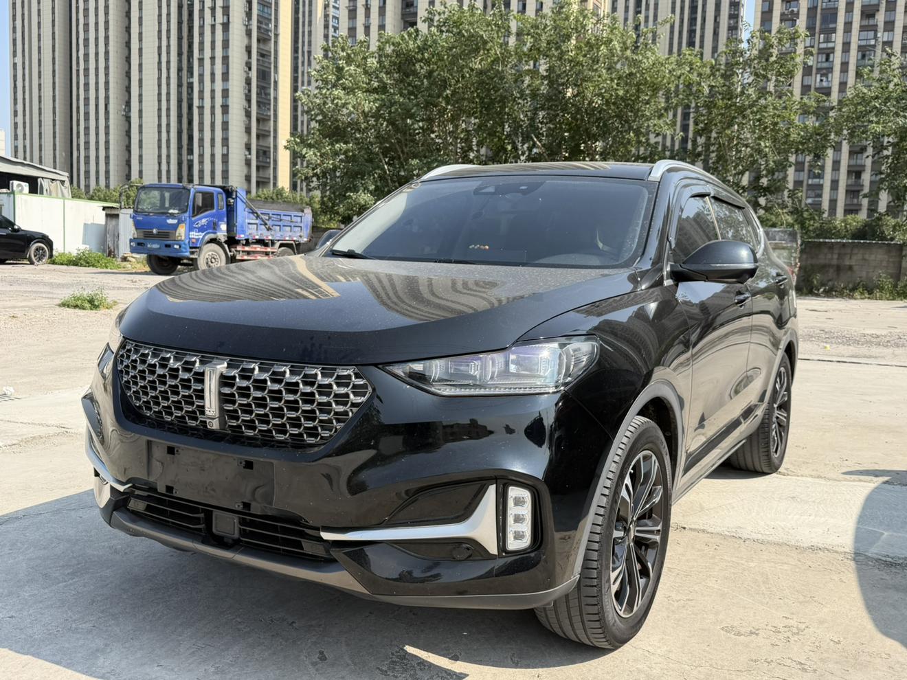 Wey VV6