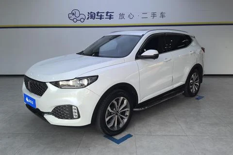 Wey VV6