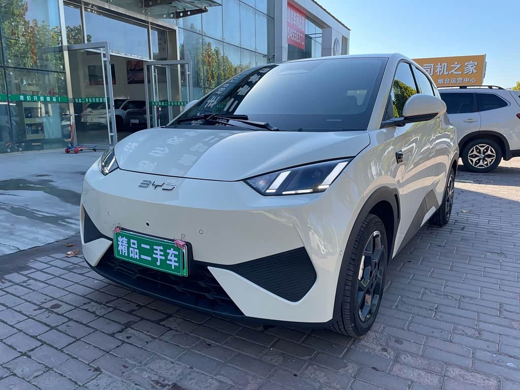 BYD Seagull