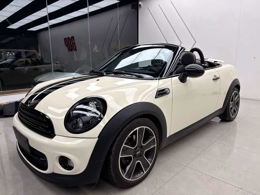 Mini ROA DS TER