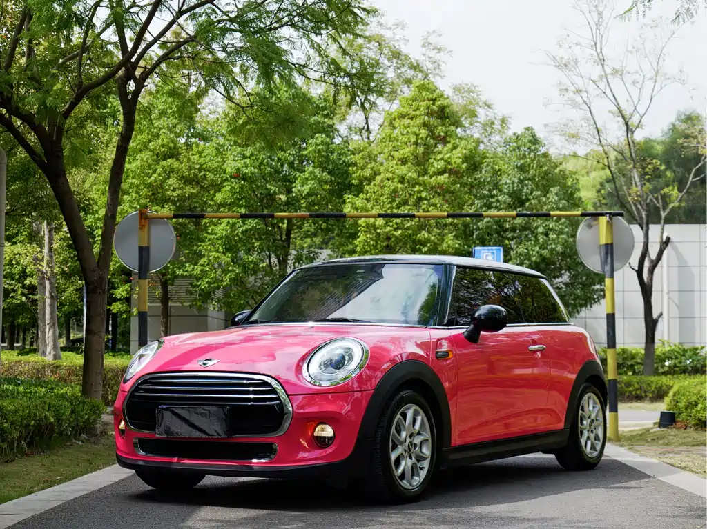 Mini Mini