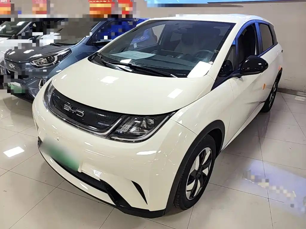 BYD Dolphin