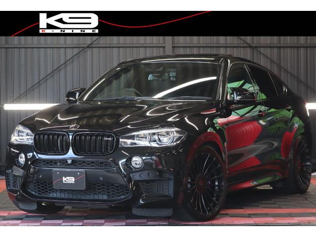 BMW X6 M