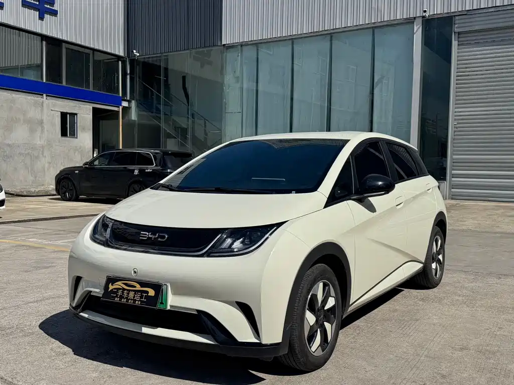 BYD Dolphin
