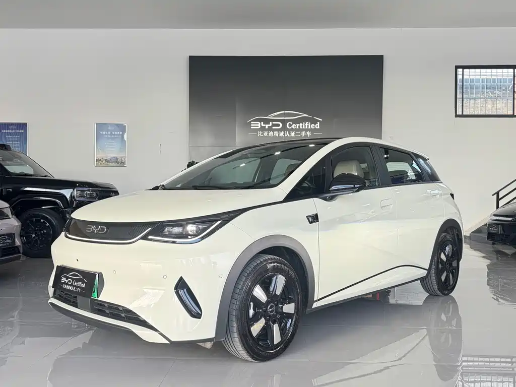 BYD Dolphin