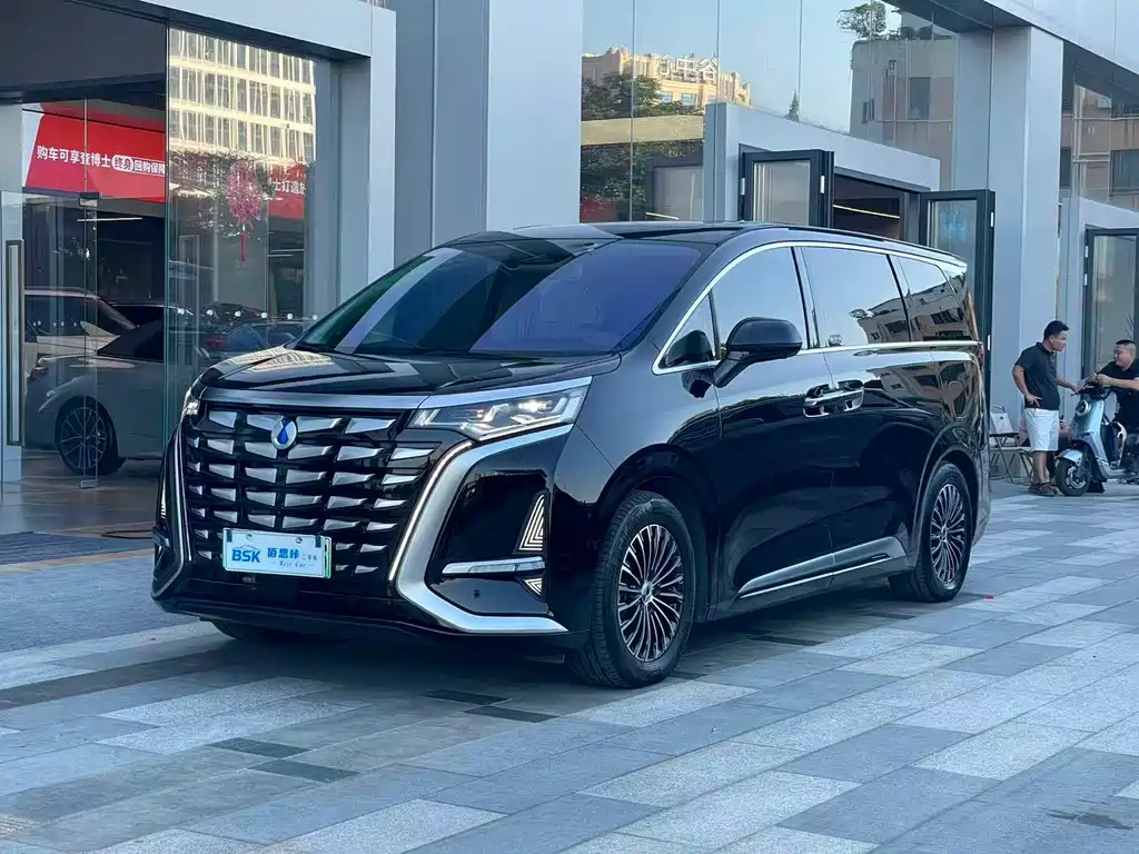 Denza D9