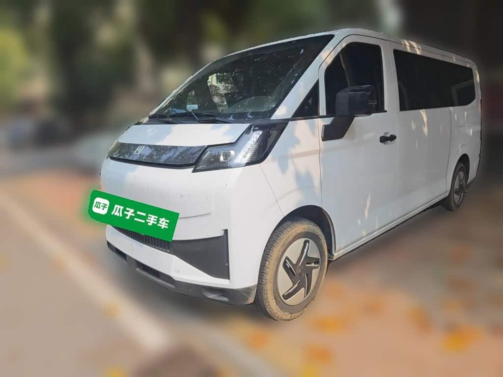 Farizon V