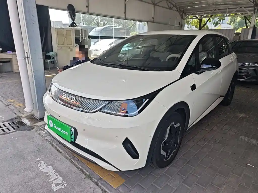 BYD Dolphin