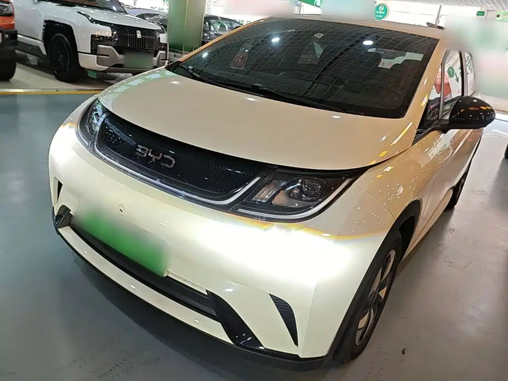 BYD Dolphin