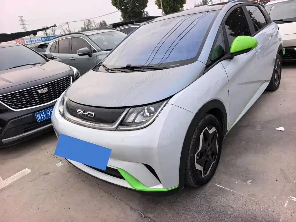 BYD Dolphin