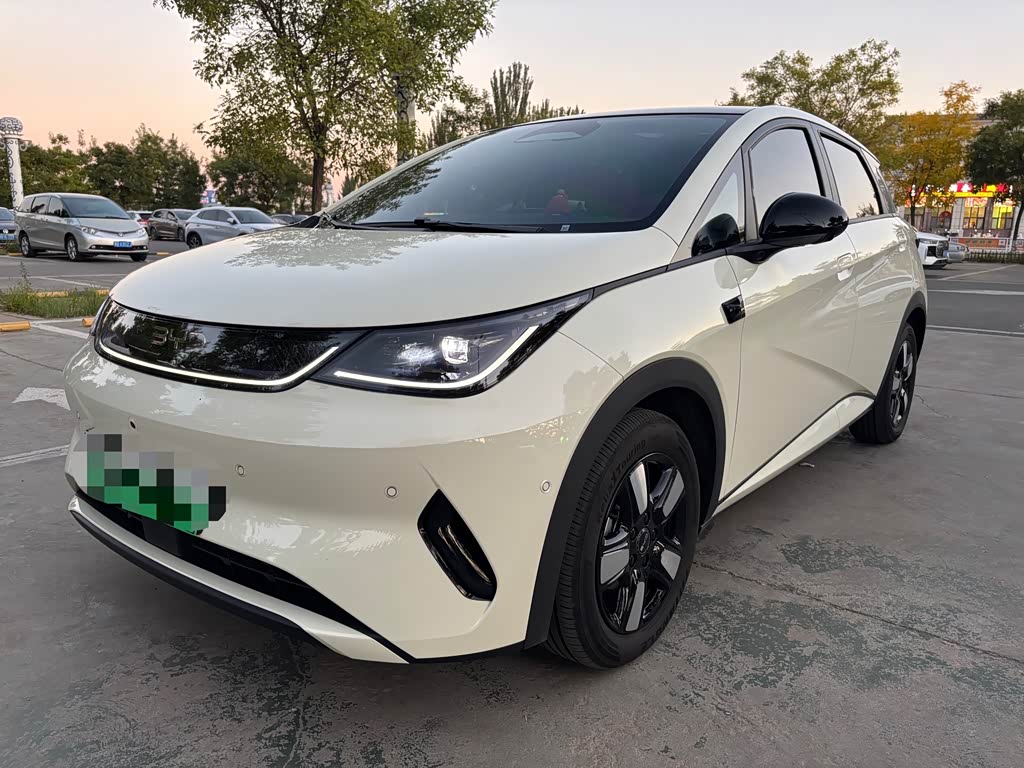 BYD Dolphin