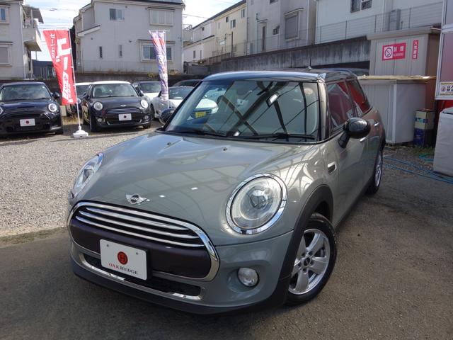 Mini Mini