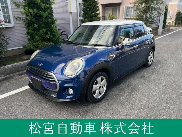 Mini Mini