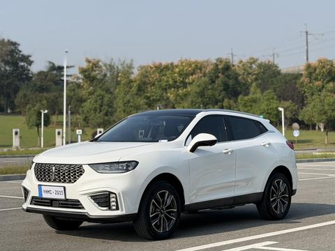 Wey VV5