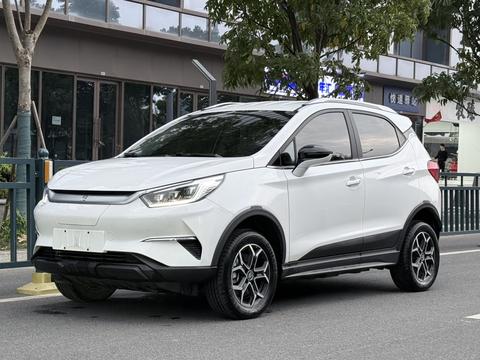 BYD Yuan Pro