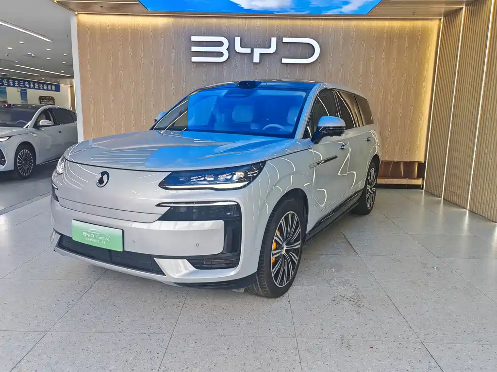 Denza N9