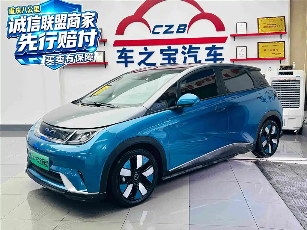 BYD Dolphin