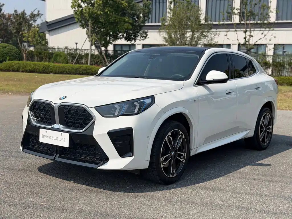 BMW X2