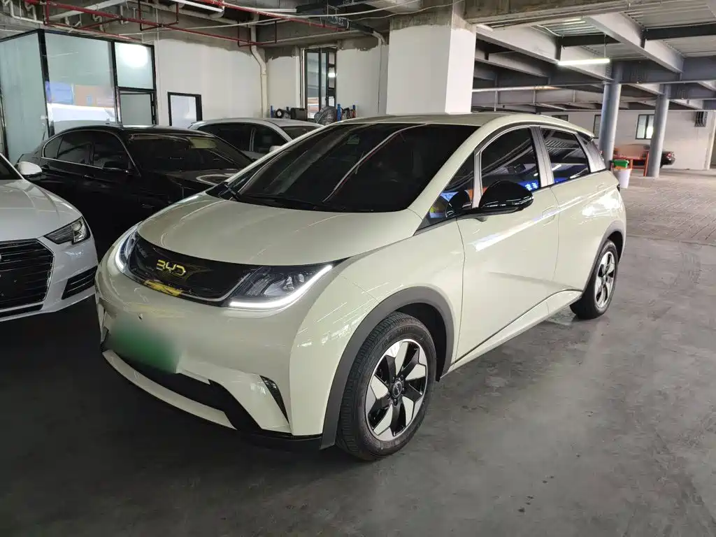 BYD Dolphin