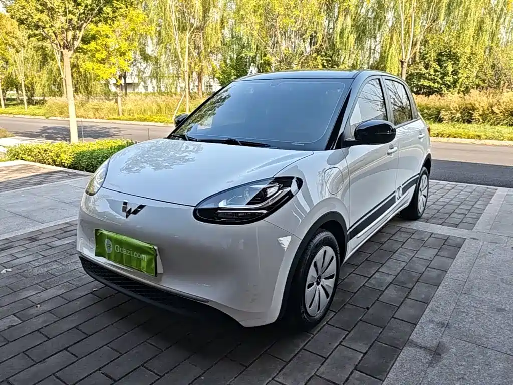 Wuling Binguo