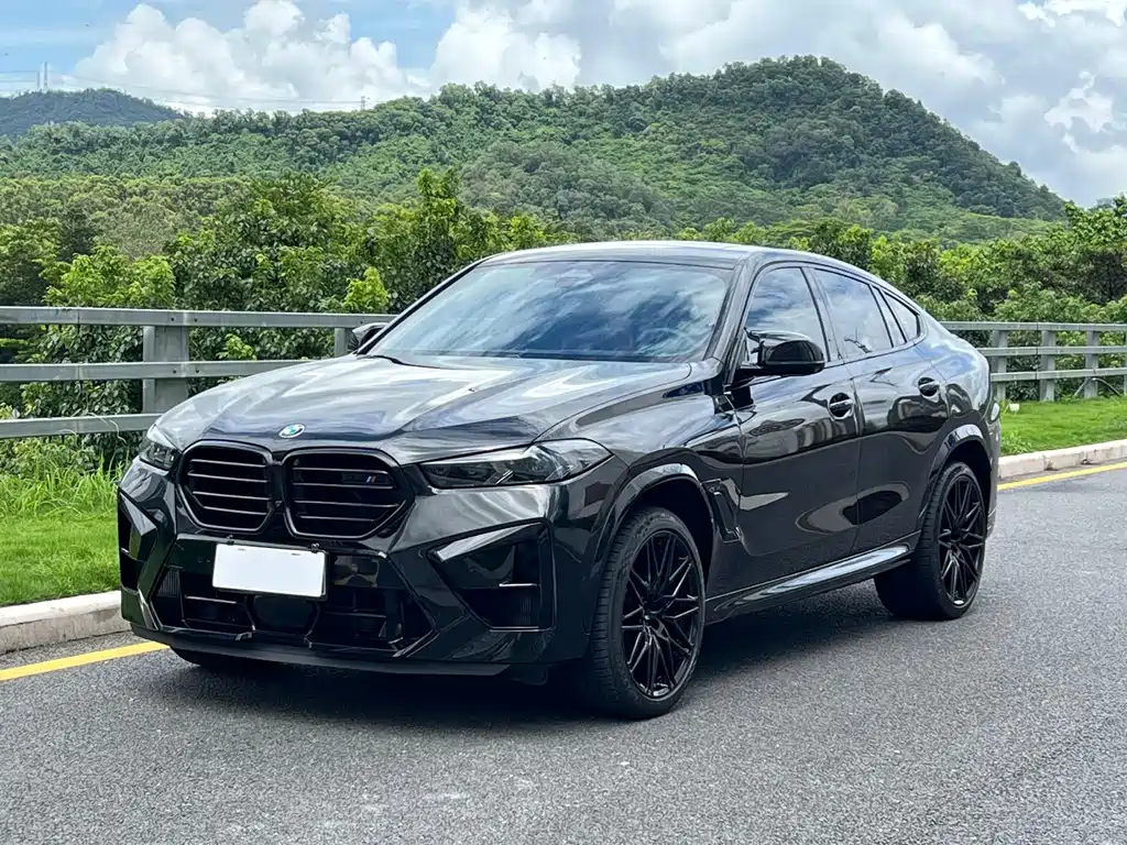 BMW X6 M