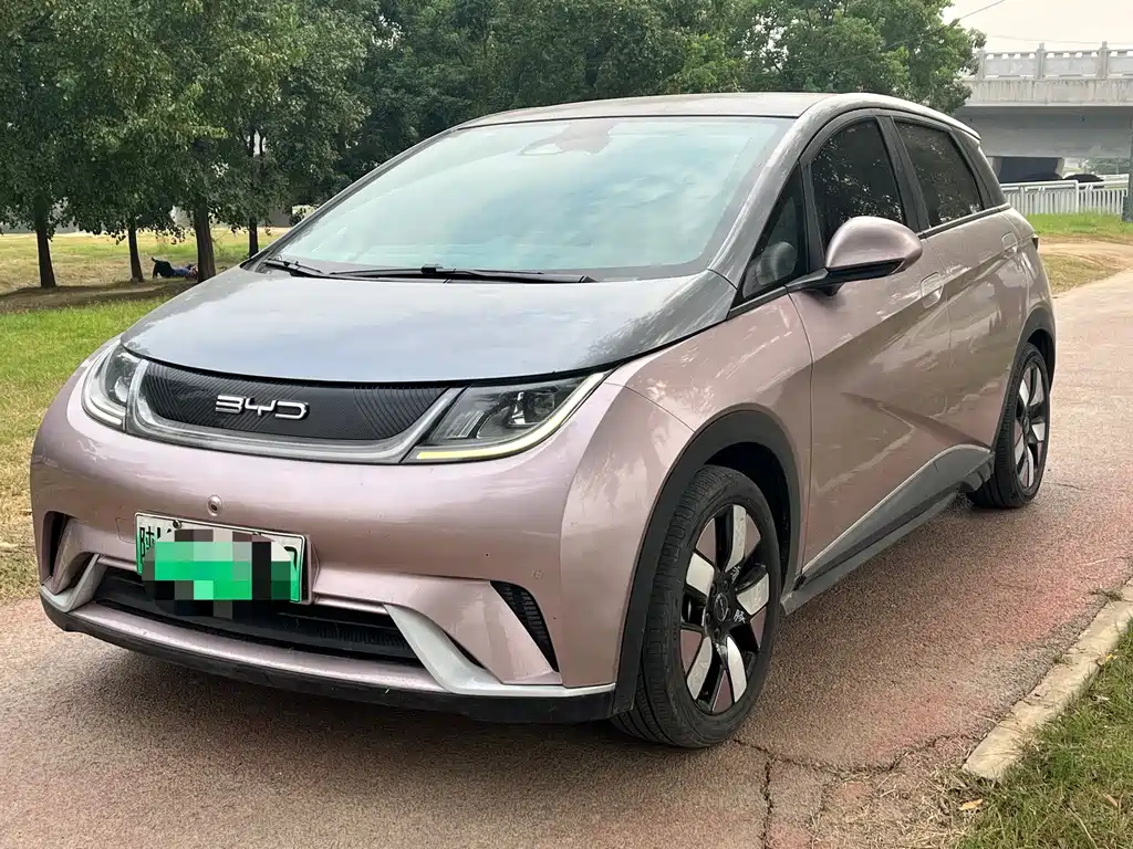 BYD Dolphin
