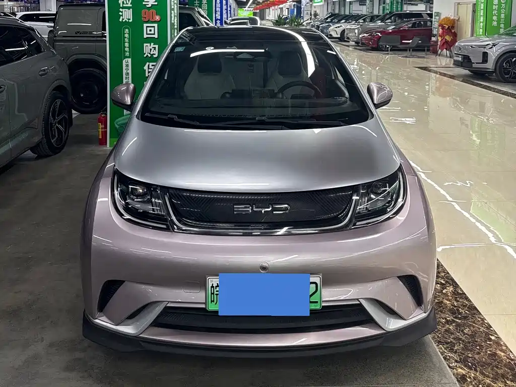 BYD Dolphin
