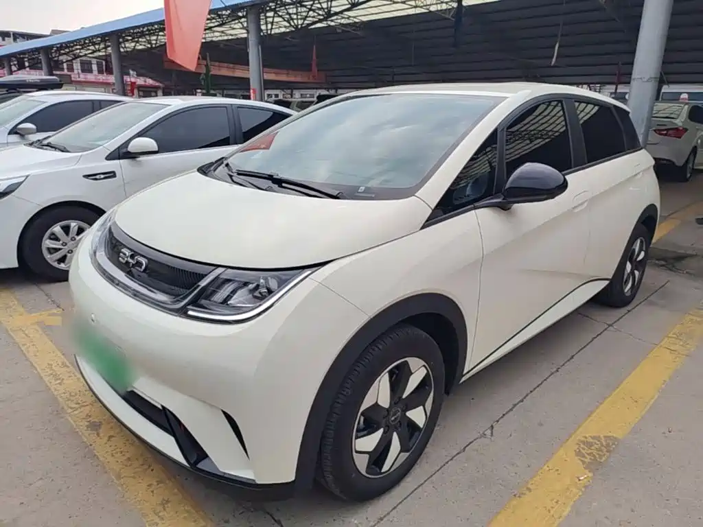 BYD Dolphin