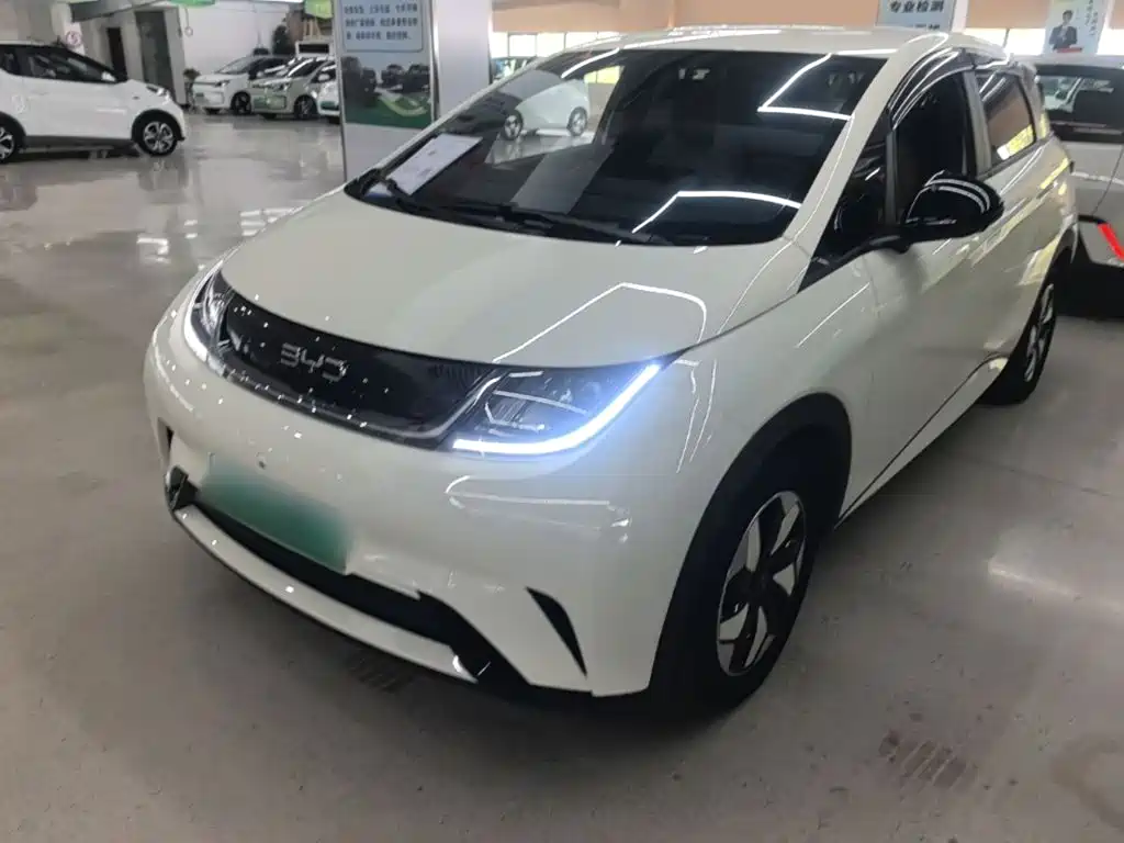 BYD Dolphin