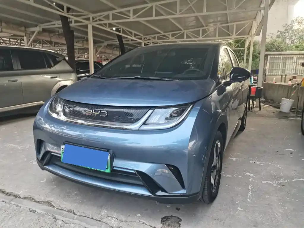 BYD Dolphin