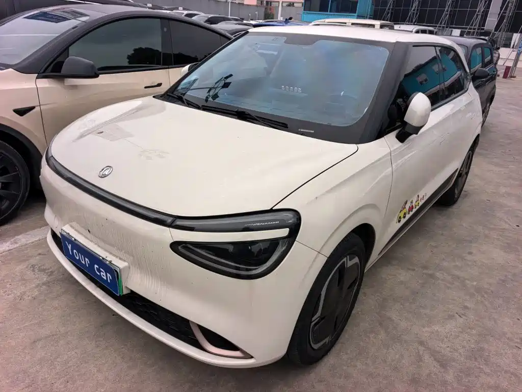 Dongfeng 01