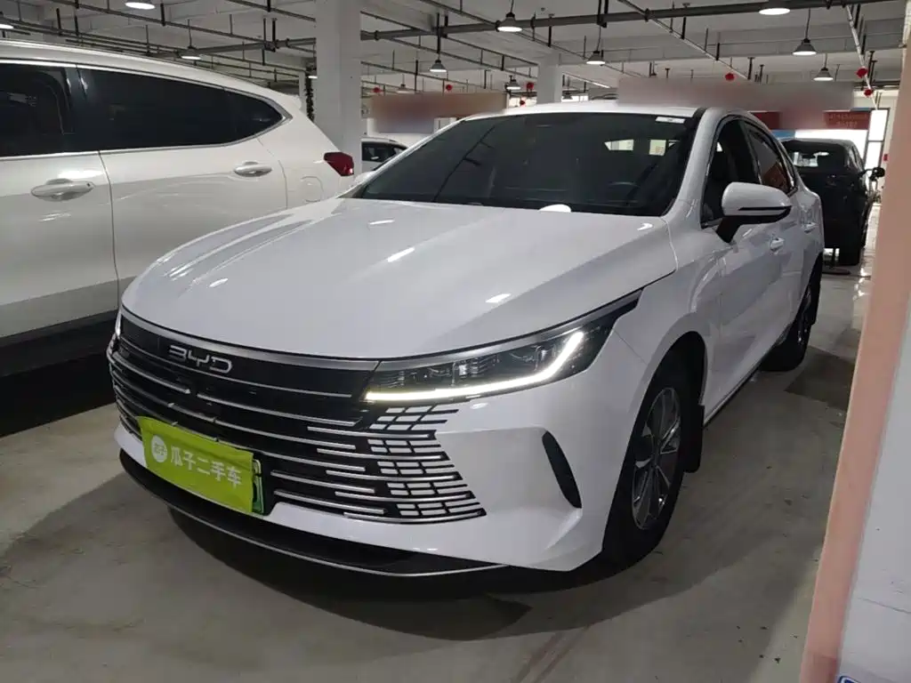 BYD Destroyer 05