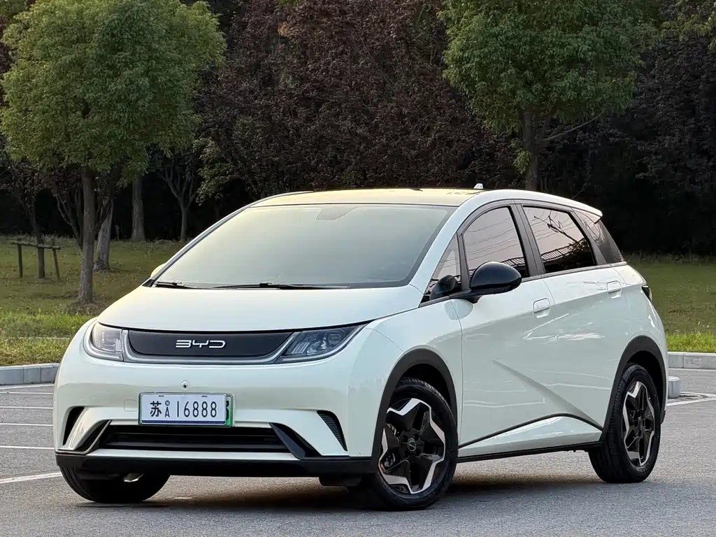 BYD Dolphin