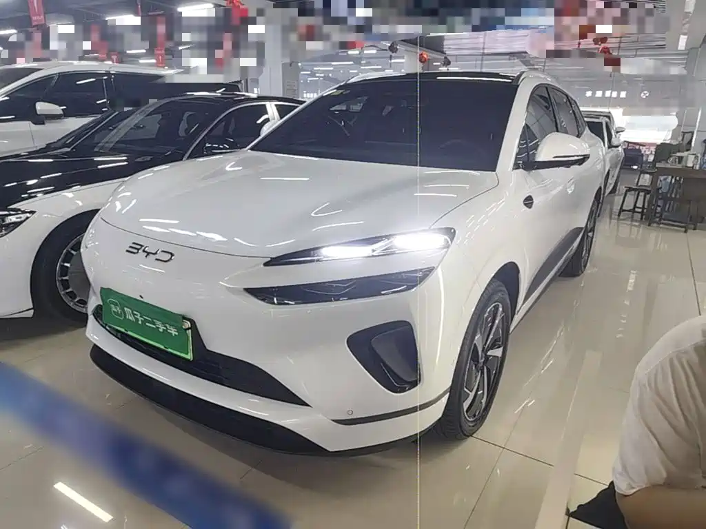 BYD Sea Lion 06