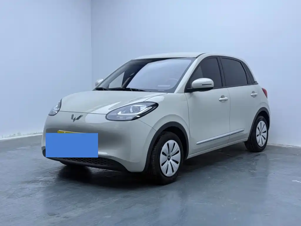 Wuling Binguo