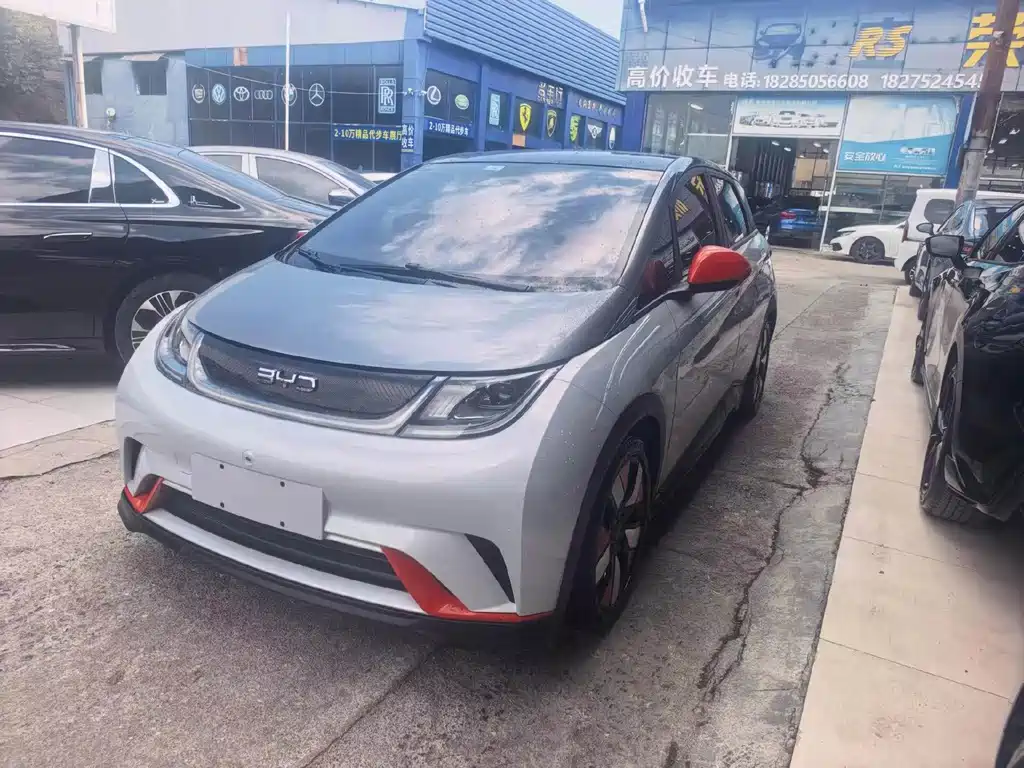 BYD Dolphin