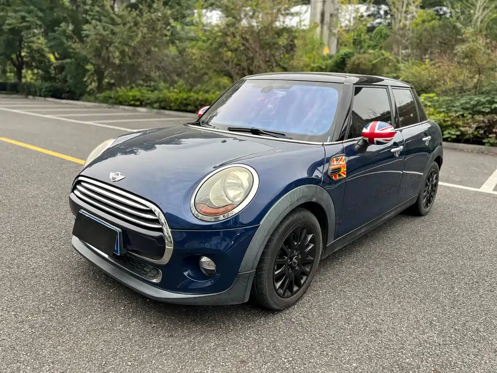 Mini Mini