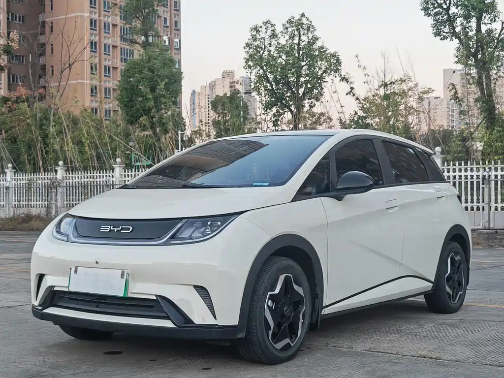 BYD Dolphin