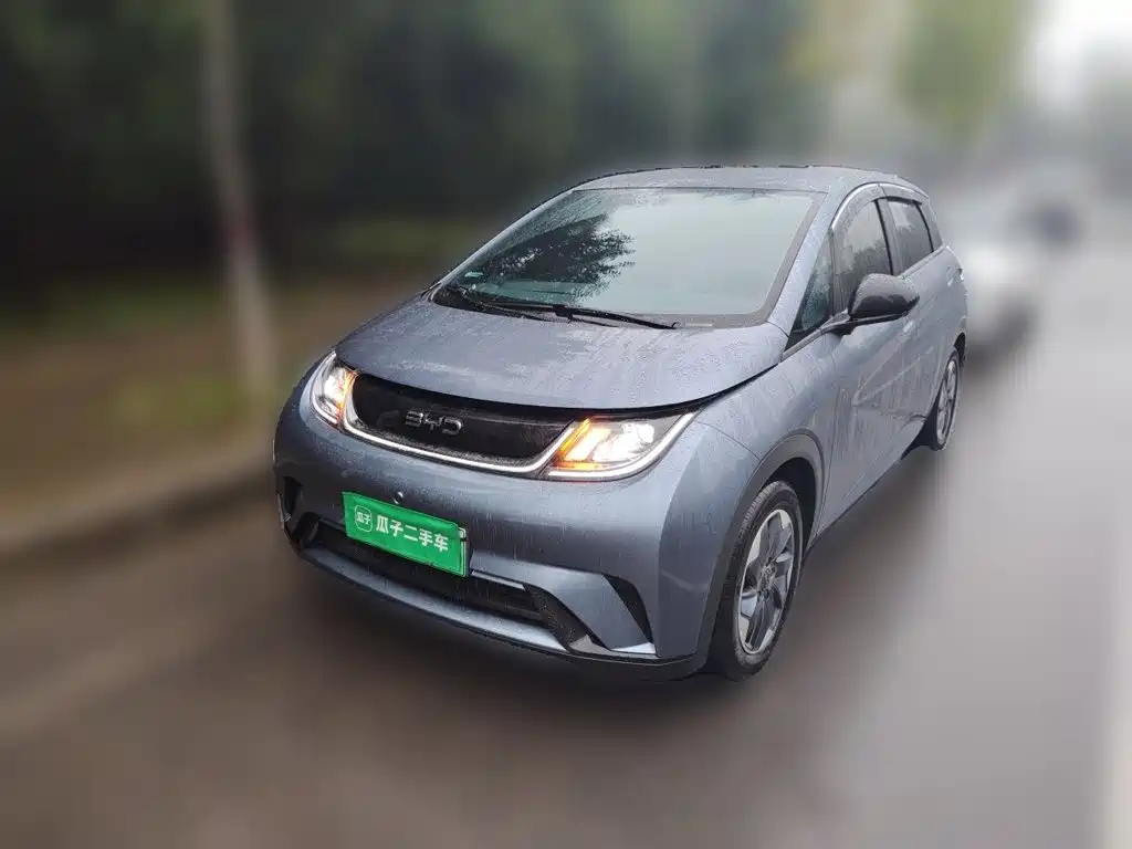 BYD Dolphin