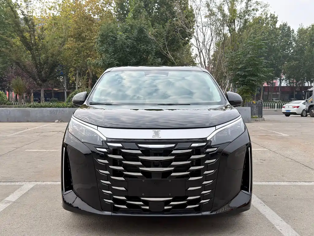 BYD Xia