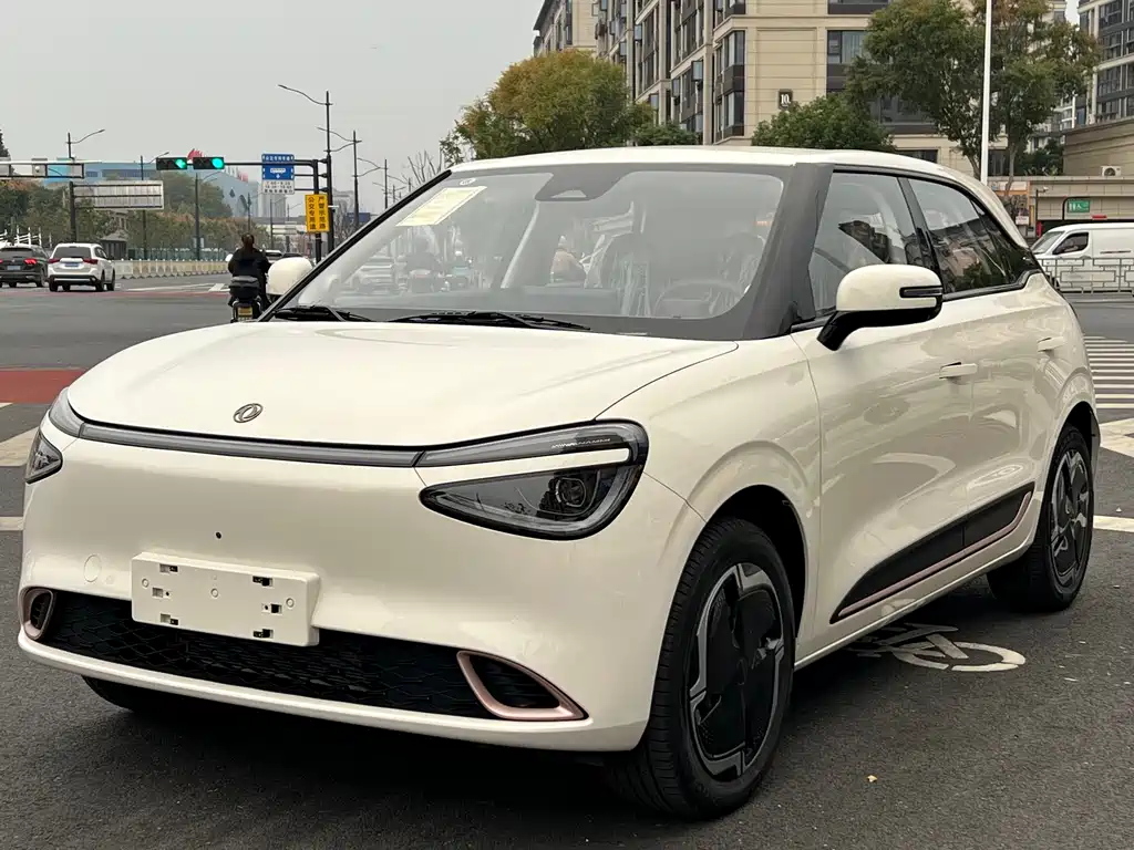 Dongfeng 01