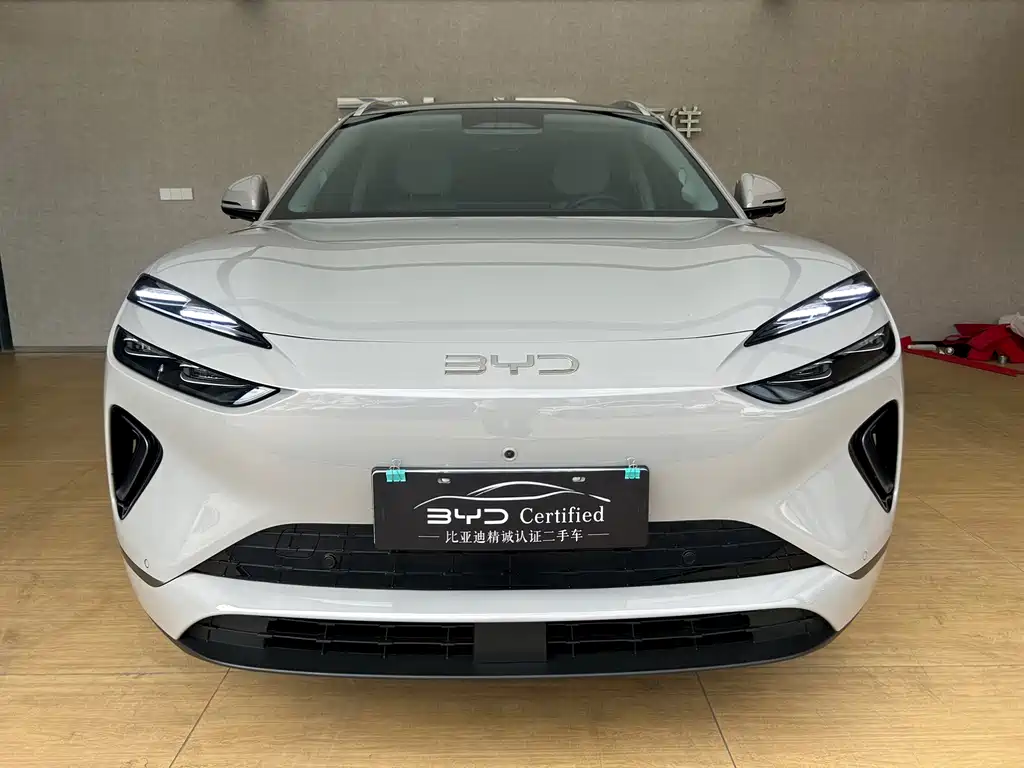 BYD Sea Lion 06