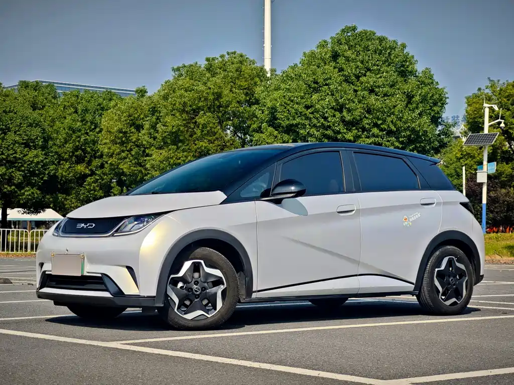BYD Dolphin