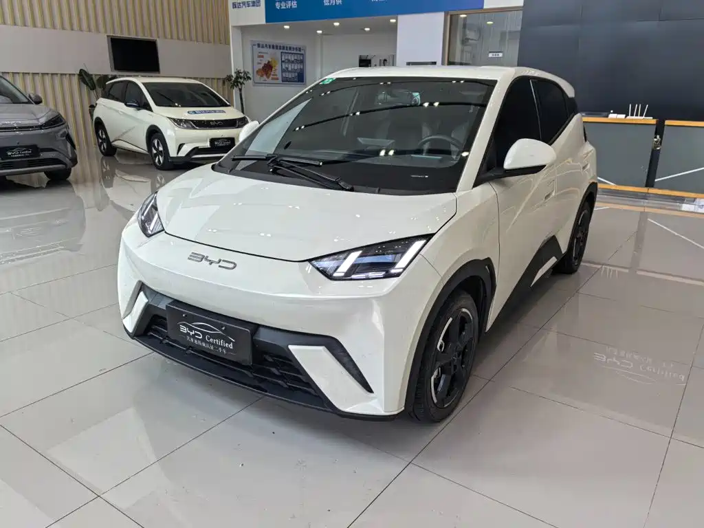 BYD Seagull