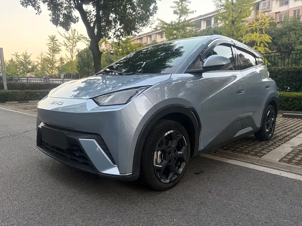 BYD Seagull