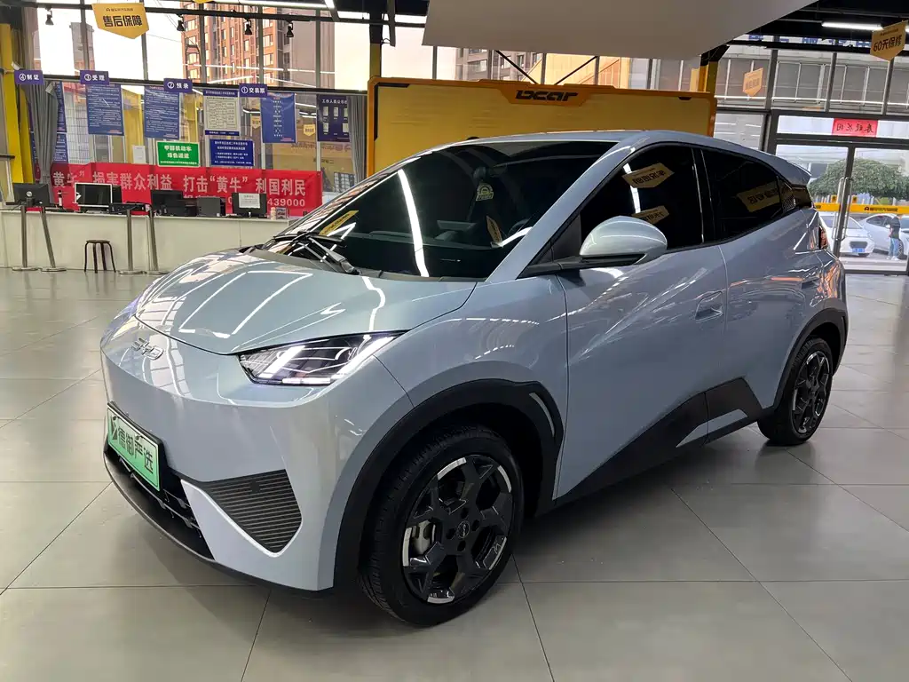 BYD Seagull
