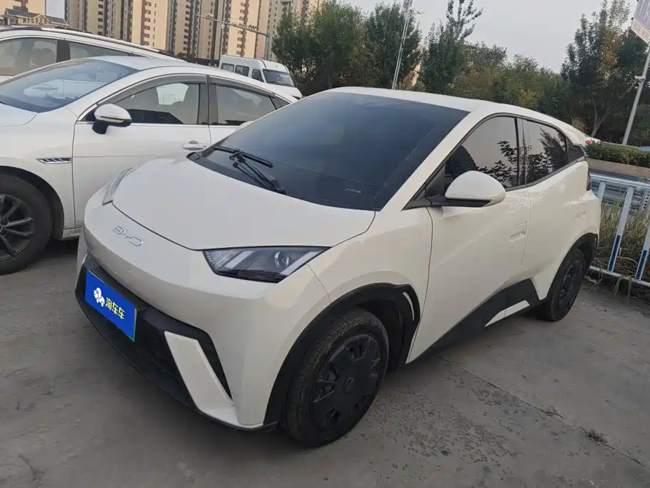 BYD Seagull