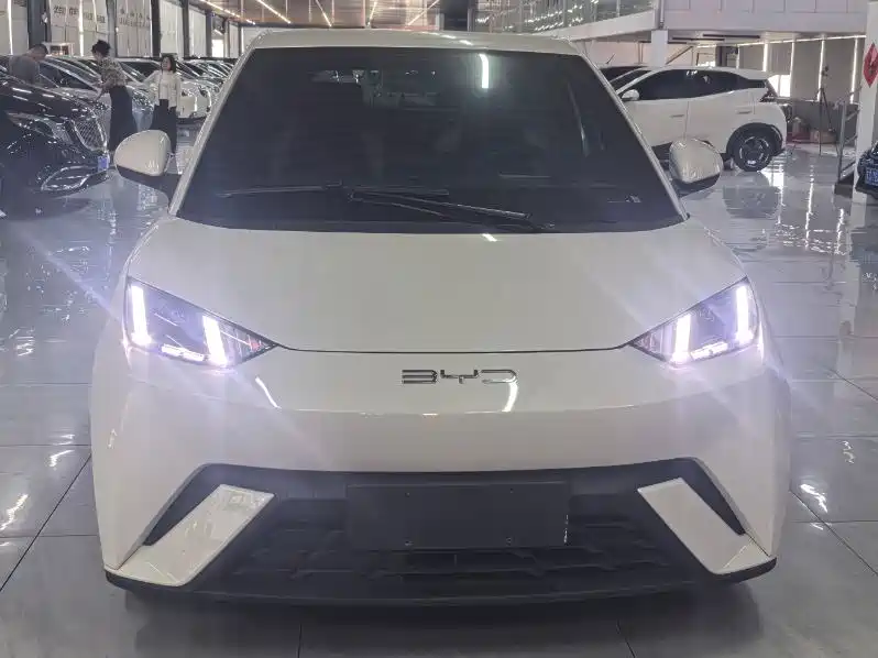 BYD Seagull