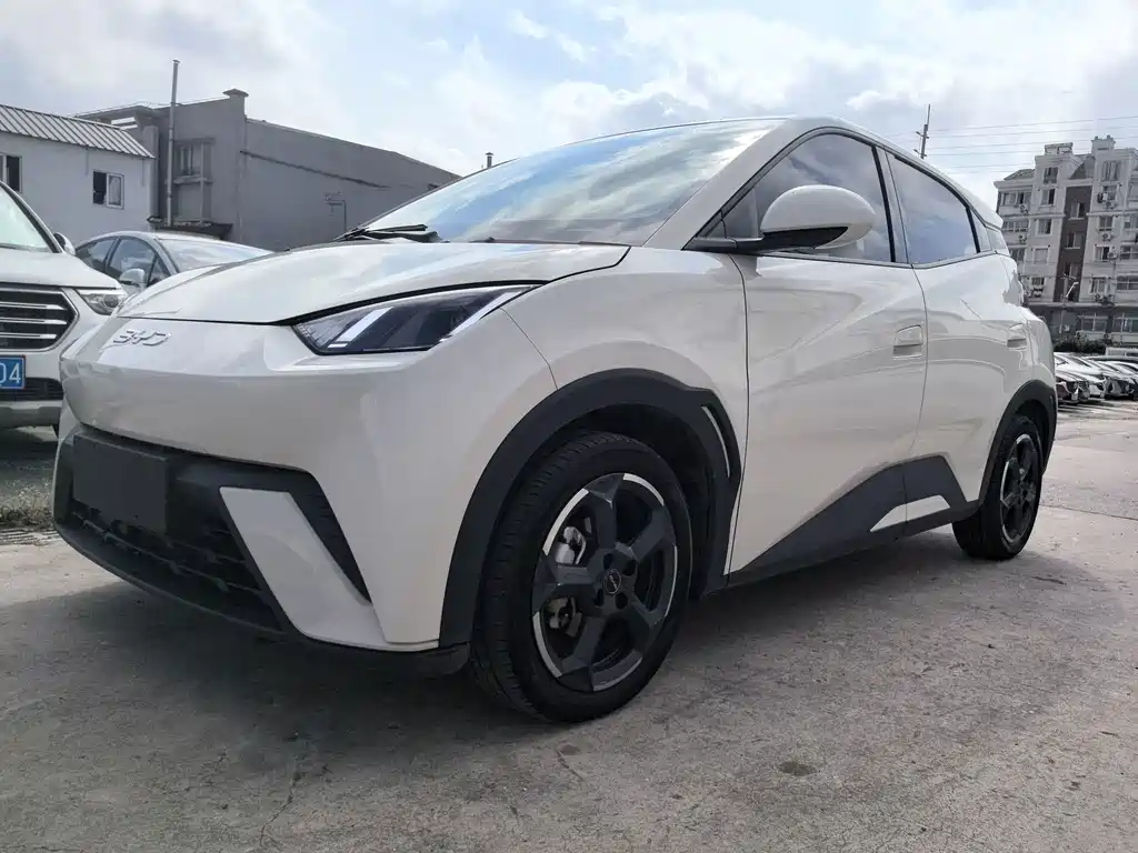 BYD Seagull